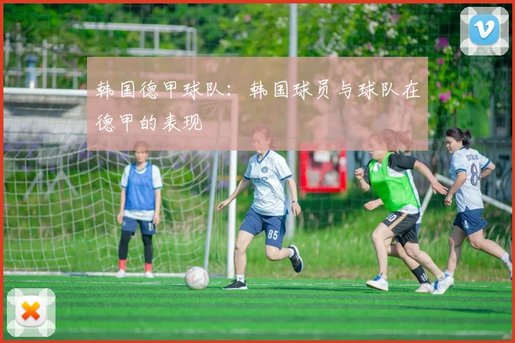 韩国德甲球队：韩国球员与球队在德甲的表现