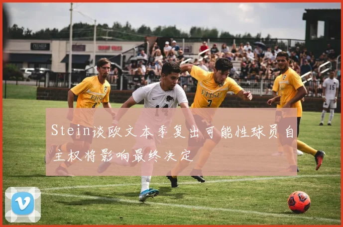 Stein谈欧文本季复出可能性球员自主权将影响最终决定