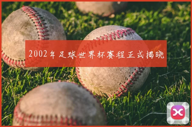 2002年足球世界杯赛程正式揭晓