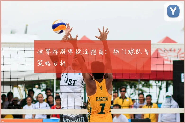 世界杯冠军投注指南：热门球队与策略分析