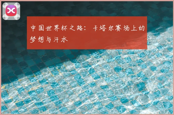 中国世界杯之路：卡塔尔赛场上的梦想与汗水