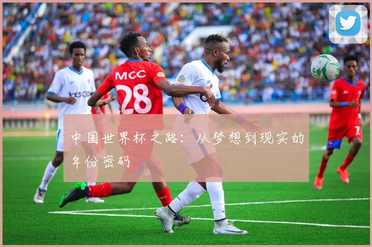 中国世界杯之路：从梦想到现实的年份密码