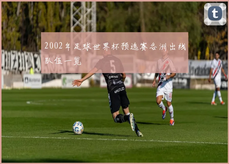 2002年足球世界杯预选赛各洲出线队伍一览