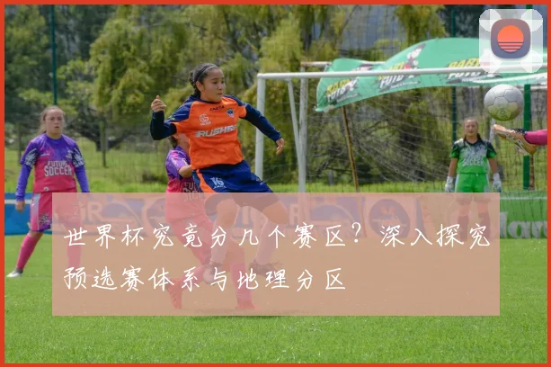 世界杯究竟分几个赛区？深入探究预选赛体系与地理分区