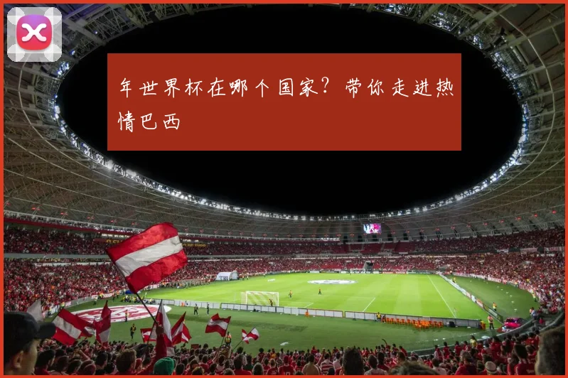 年世界杯在哪个国家?带你走进热情巴西