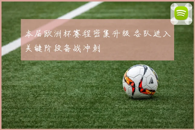 本届欧洲杯赛程密集升级 各队进入关键阶段备战冲刺