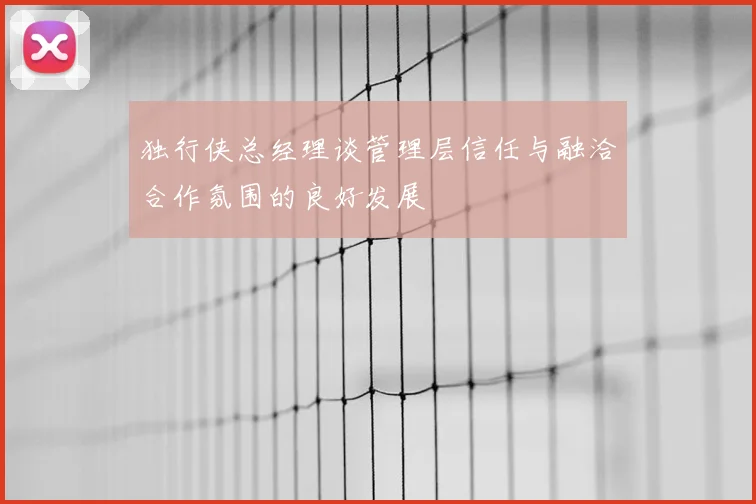 独行侠总经理谈管理层信任与融洽合作氛围的良好发展