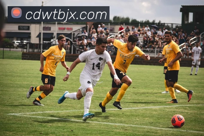 九游体育服务体系